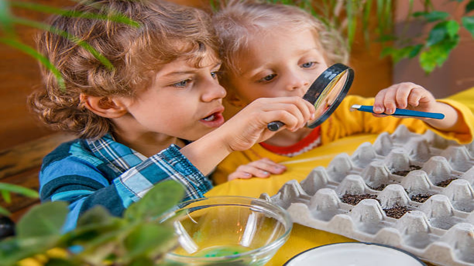 Stimola la curiosità del tuo bambino con giochi Montessori e strumenti scientifici innovativi