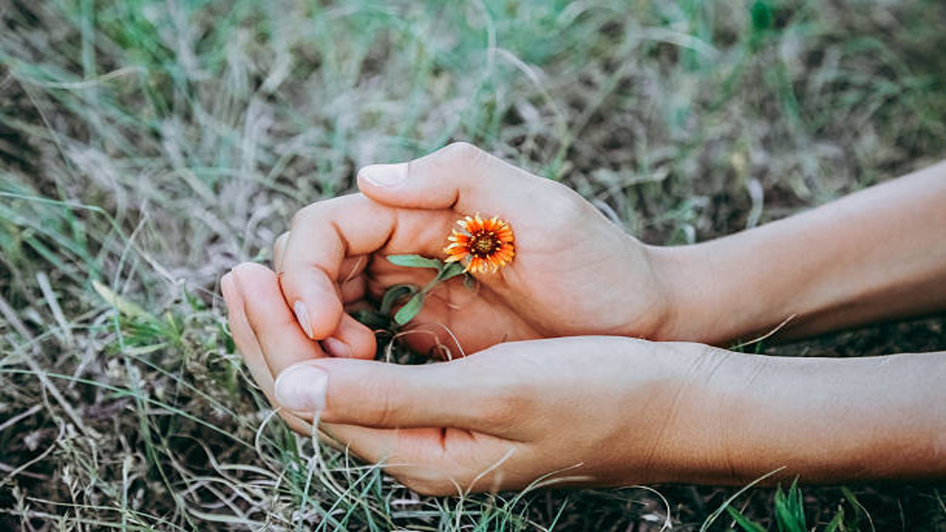 Idee regalo Montessori irresistibili per accompagnare i bambini nelle prime fasi di sviluppo