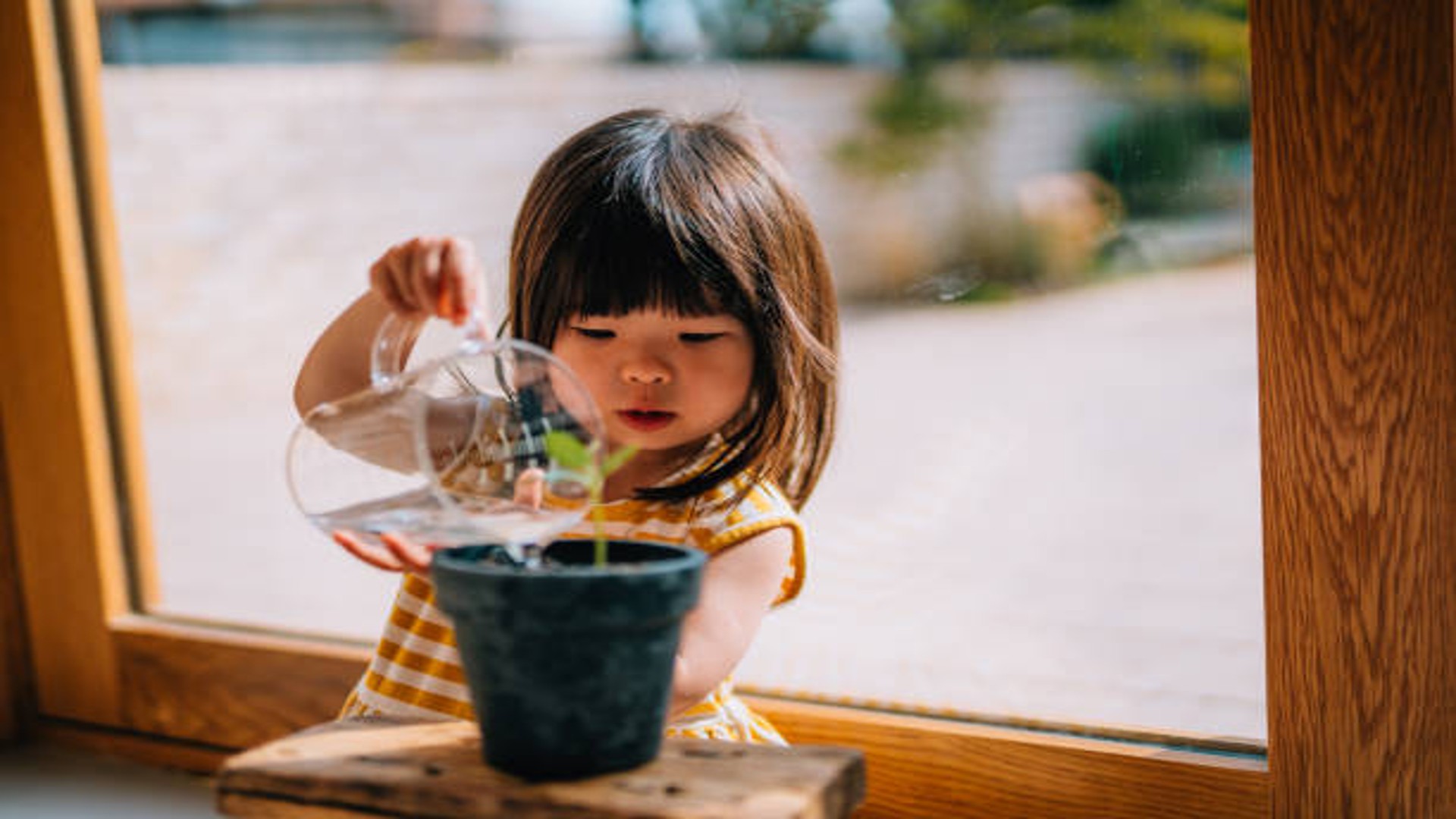 Prodotti Montessori per l’educazione pratica e scientifica dei più piccoli nel 2025
